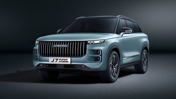 OLIVE GREEN / CZARNY DACH